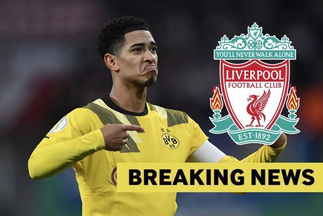 12月9日红王解盘比赛解读：支持力度足拜仁将迎酣畅（12月9日红王赛事解析：支持强劲，拜仁或迎畅快一战）