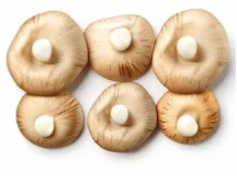 Featured products - 非凡·娱乐nuoweijie